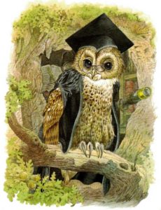 Owl professor